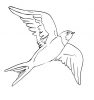 swallow clipart 1