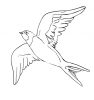 swallow clipart 1
